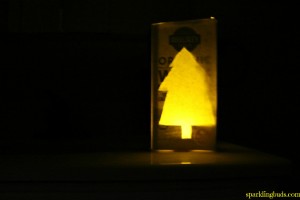 Light science experiment