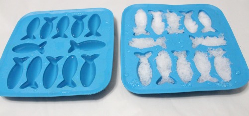Snow science project for preschool