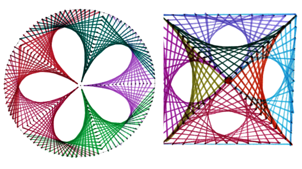 Parabolic Cuves Art Flowers